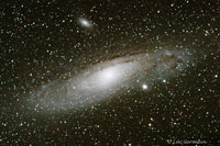 M31